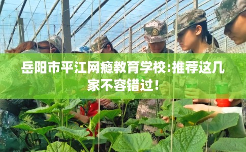 岳阳市平江网瘾教育学校:推荐这几家不容错过！