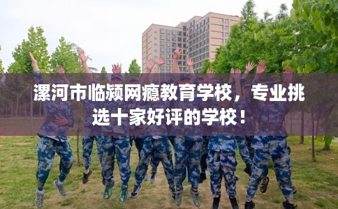 漯河市临颍网瘾教育学校，专业挑选十家好评的学校！