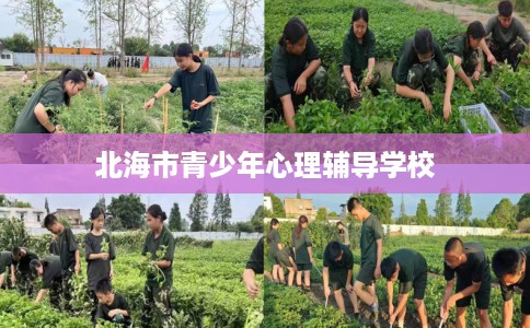 北海市青少年心理辅导学校 北海市青少年心理辅导学校