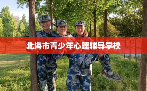 北海市青少年心理辅导学校 北海市青少年心理辅导学校
