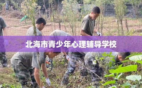 北海市青少年心理辅导学校 北海市青少年心理辅导学校