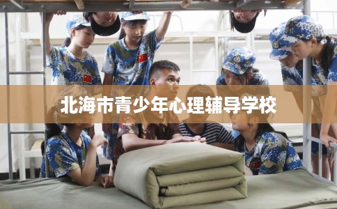 北海市青少年心理辅导学校