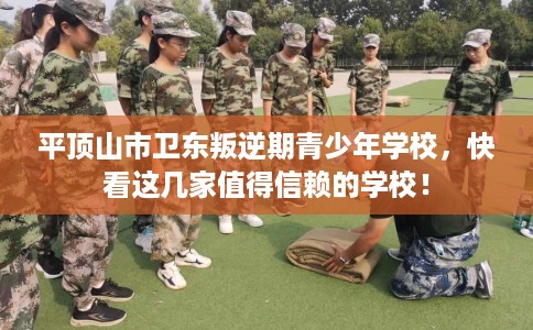 平顶山市卫东叛逆期青少年学校，快看这几家值得信赖的学校！