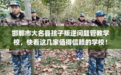 邯郸市大名县孩子叛逆问题管教学校,快看这几家值得信赖的学校! 邯郸市大名县孩子叛逆问题管教学校,快看这几家值得信赖的学校!