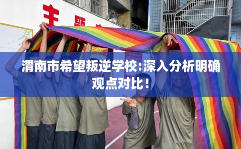 渭南市希望叛逆学校:深入分析明确观点对比！