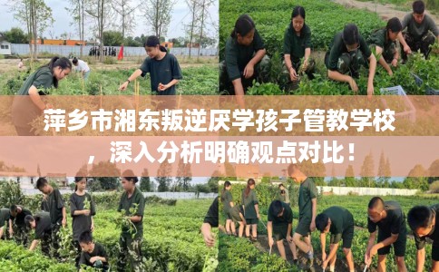 萍乡市湘东叛逆厌学孩子管教学校,深入分析明确观点对比! 萍乡市湘东叛逆厌学孩子管教学校,深入分析明确观点对比!