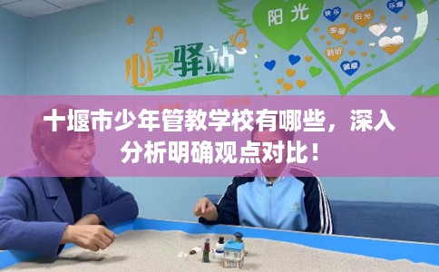 十堰市少年管教学校有哪些,深入分析明确观点对比! 十堰市少年管教学校有哪些,深入分析明确观点对比!