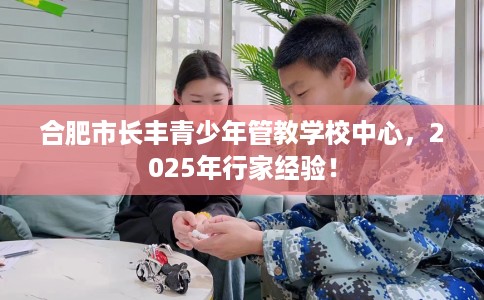 合肥市长丰青少年管教学校中心，2025年行家经验！
