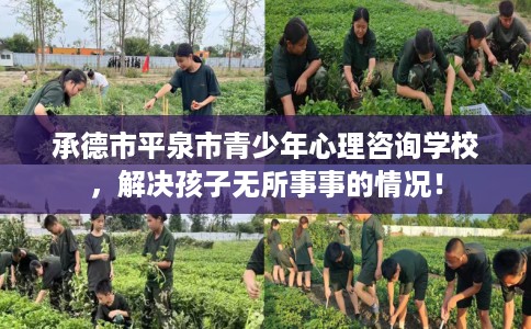 承德市平泉市青少年心理咨询学校，解决孩子无所事事的情况！