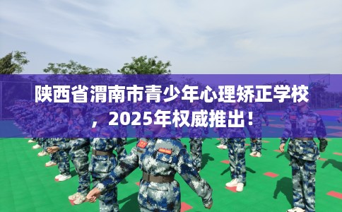 陕西省渭南市青少年心理矫正学校，2025年权威推出！