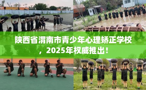 陕西省渭南市青少年心理矫正学校，2025年权威推出！