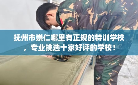 抚州市崇仁哪里有正规的特训学校，专业挑选十家好评的学校！