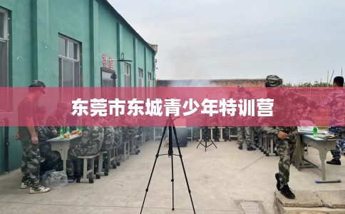 东莞市东城青少年特训营 东莞市东城青少年特训营