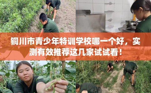 铜川市青少年特训学校哪一个好,实测有效推荐这几家试试看! 铜川市青少年特训学校哪一个好,实测有效推荐这几家试试看!