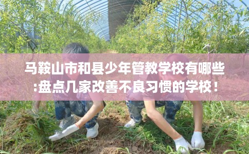 马鞍山市和县少年管教学校有哪些:盘点几家改善不良习惯的学校！