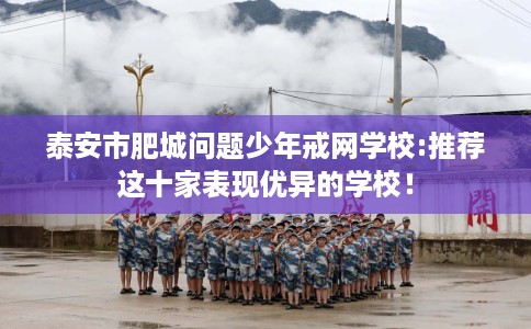 泰安市肥城问题少年戒网学校:推荐这十家表现优异的学校！