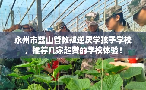 永州市蓝山管教叛逆厌学孩子学校，推荐几家超赞的学校体验！