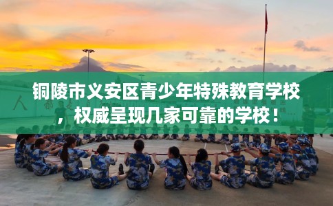 铜陵市义安区青少年特殊教育学校，权威呈现几家可靠的学校！