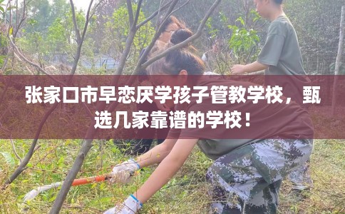 张家口市早恋厌学孩子管教学校，甄选几家靠谱的学校！