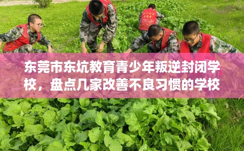 东莞市东坑教育青少年叛逆封闭学校，盘点几家改善不良习惯的学校！