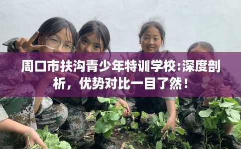 周口市扶沟青少年特训学校:深度剖析,优势对比一目了然! 周口市扶沟青少年特训学校:深度剖析,优势对比一目了然!