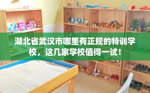 湖北省武汉市哪里有正规的特训学校，这几家学校值得一试！