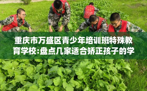 重庆市万盛区青少年培训班特殊教育学校:盘点几家适合矫正孩子的学校！