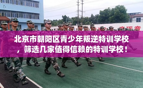 北京市朝阳区青少年叛逆特训学校,筛选几家值得信赖的特训学校! 北京市朝阳区青少年叛逆特训学校,筛选几家值得信赖的特训学校!