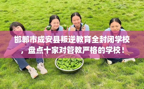 邯郸市成安县叛逆教育全封闭学校，盘点十家对管教严格的学校！