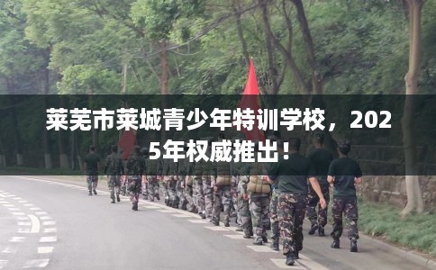 莱芜市莱城青少年特训学校，2025年权威推出！