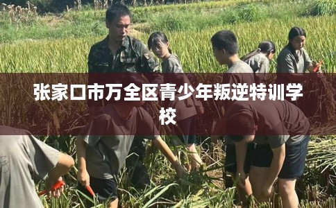 张家口市万全区青少年叛逆特训学校