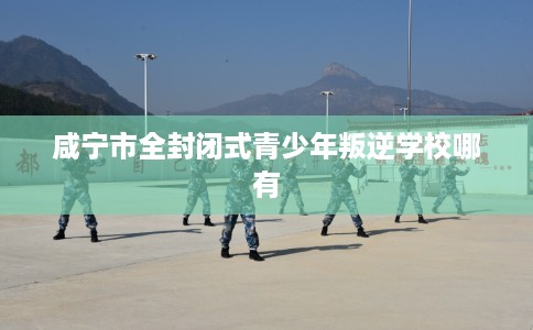 咸宁市全封闭式青少年叛逆学校哪有