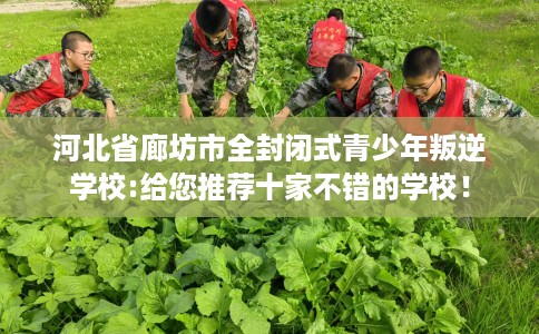 河北省廊坊市全封闭式青少年叛逆学校:给您推荐十家不错的学校! 河北省廊坊市全封闭式青少年叛逆学校:给您推荐十家不错的学校!