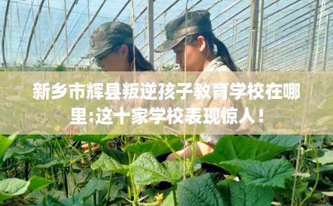 新乡市辉县叛逆孩子教育学校在哪里:这十家学校表现惊人! 新乡市辉县叛逆孩子教育学校在哪里:这十家学校表现惊人!