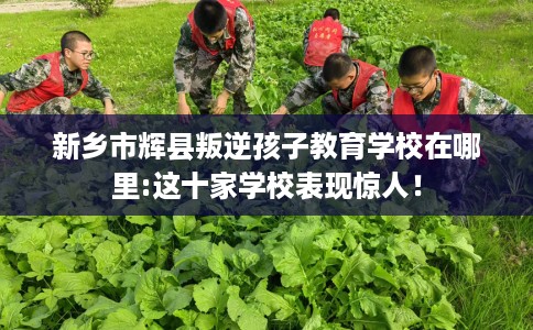 新乡市辉县叛逆孩子教育学校在哪里:这十家学校表现惊人！