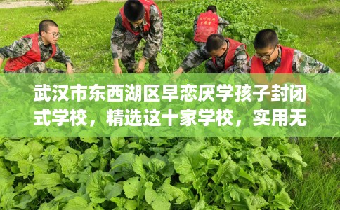 武汉市东西湖区早恋厌学孩子封闭式学校，精选这十家学校，实用无忧！