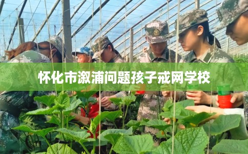 怀化市溆浦问题孩子戒网学校 怀化市溆浦问题孩子戒网学校