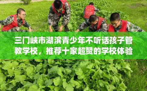 三门峡市湖滨青少年不听话孩子管教学校，推荐十家超赞的学校体验！