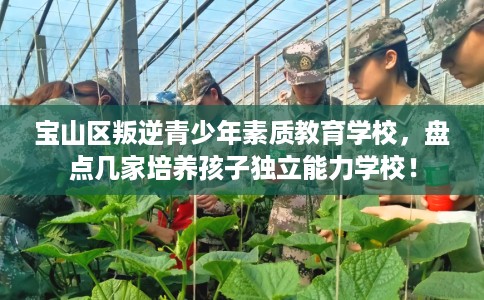 宝山区叛逆青少年素质教育学校，盘点几家培养孩子独立能力学校！