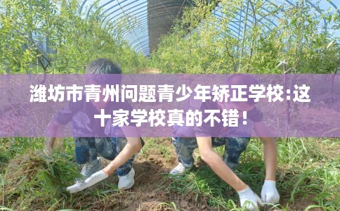 潍坊市青州问题青少年矫正学校:这十家学校真的不错! 潍坊市青州问题青少年矫正学校:这十家学校真的不错!