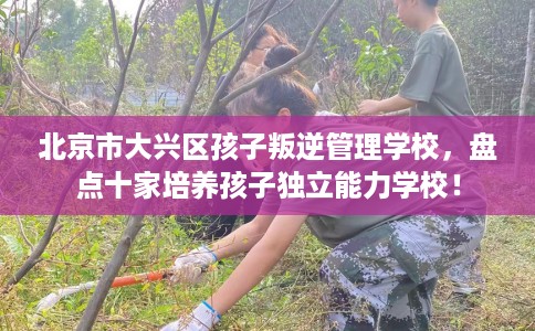 北京市大兴区孩子叛逆管理学校,盘点十家培养孩子独立能力学校! 北京市大兴区孩子叛逆管理学校,盘点十家培养孩子独立能力学校!