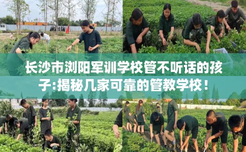 长沙市浏阳军训学校管不听话的孩子:揭秘几家可靠的管教学校! 长沙市浏阳军训学校管不听话的孩子:揭秘几家可靠的管教学校!