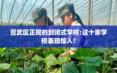 宣武区正规的封闭式学校:这十家学校表现惊人！