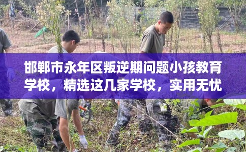 邯郸市永年区叛逆期问题小孩教育学校，精选这几家学校，实用无忧！