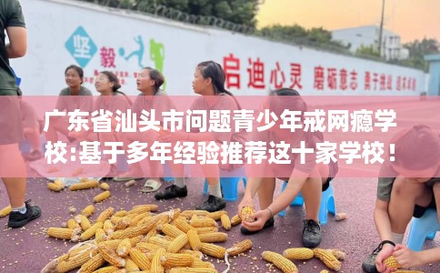 广东省汕头市问题青少年戒网瘾学校:基于多年经验推荐这十家学校！