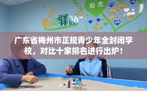 广东省梅州市正规青少年全封闭学校，对比十家排名进行出炉！