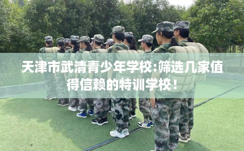 天津市武清青少年学校:筛选几家值得信赖的特训学校! 天津市武清青少年学校:筛选几家值得信赖的特训学校!