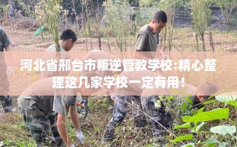河北省邢台市叛逆管教学校:精心整理这几家学校一定有用! 河北省邢台市叛逆管教学校:精心整理这几家学校一定有用!