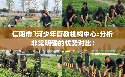 信阳市浉河少年管教机构中心:分析非常明确的优势对比! 信阳市浉河少年管教机构中心:分析非常明确的优势对比!