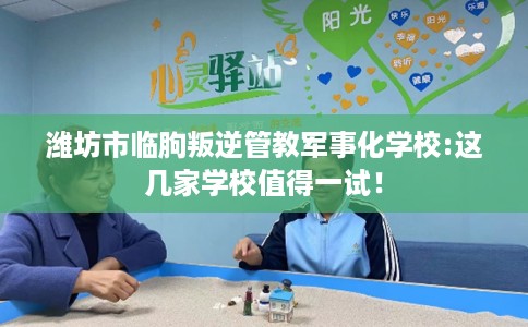 潍坊市临朐叛逆管教军事化学校:这几家学校值得一试！